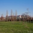 san siro stadio vista dal parco